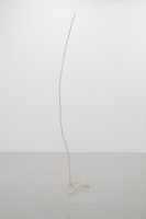24_simonelarsworm-21.jpg